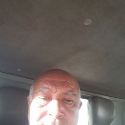 , 53, 