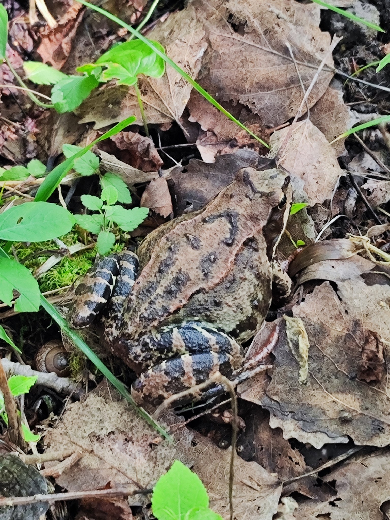   - 3  2025  14:49 - 3