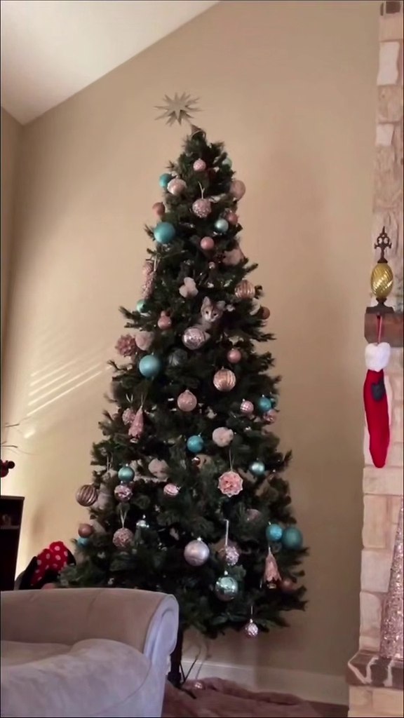 �����-����� �����)