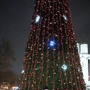 ���� �������, �����������, 38 ��� - ��������� 24 ������ 2025 � ������ ���� ����������