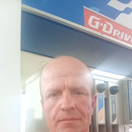  , 44 , 