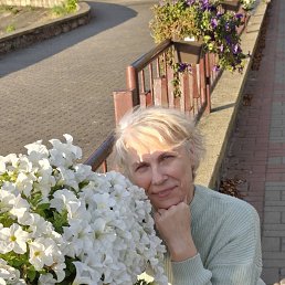 , 54, 