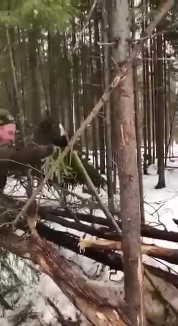     .. - 2