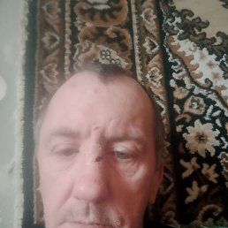 , 53 , 