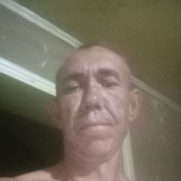 , 43, 