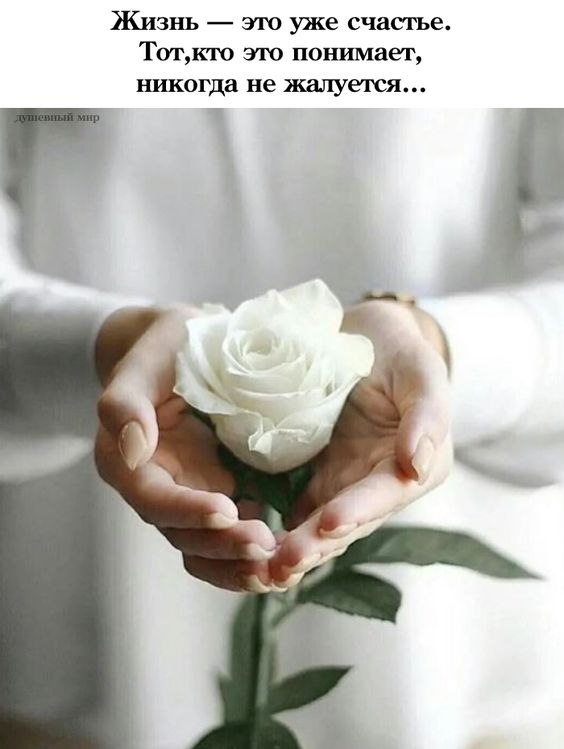 ₪╬═►  ||  ||  ◄═╬₪ - 22  2023  11:24