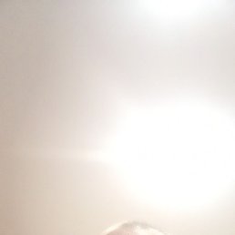 �������, �����, 42 ����