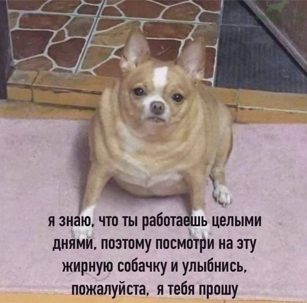 �������������� - 27 ������ 2026 � 18:33