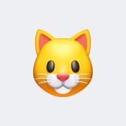 �����, 38 ���, �����