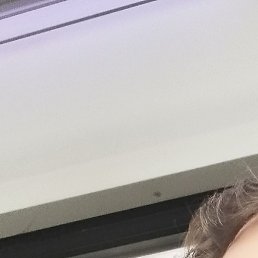 Vladimir, ������, 37 ���