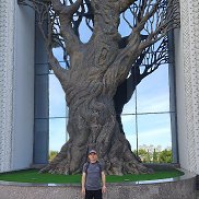 ������, 47 ���, ������