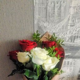 ���� �������, �������, 38 ��� - ��������� 9 ��� 2026