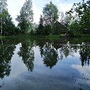 ���� �������, �����, 50 ��� - ��������� 24 ����� 2026 � ������ ���� ����������