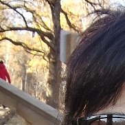 �����, 46 ���, ��������