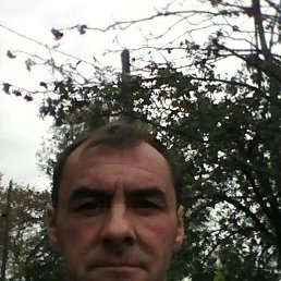 , 54, 