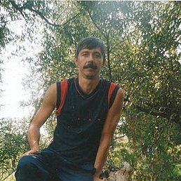 �������, ������, 37 ���