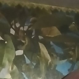 �����, �����, 35 ���