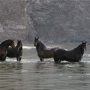 ���� ����, ������������, 38 ��� - ��������� 8 ������ 2023 � ������ ���� ����������