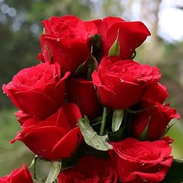 �����, �����, 59 ���