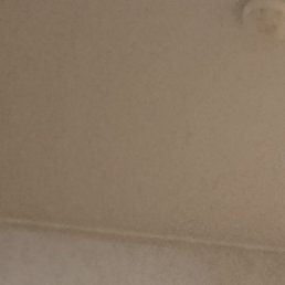 �����, ����, 43 ����