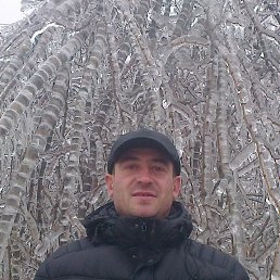 , 51, 