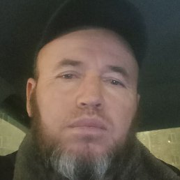 Johy, �����, 43 ����