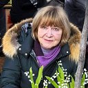 ���� �������, ������, 63 ���� - ��������� 17 ������� 2026