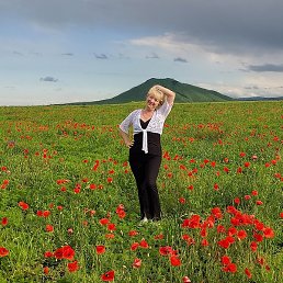 ��������, ���������, 53 ����