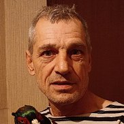 ����, 55 ���, �����������