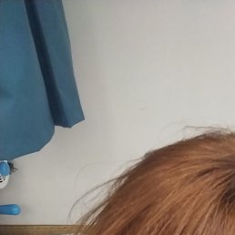 ����, ������������, 59 ���