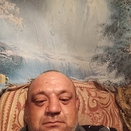  , 41, 
