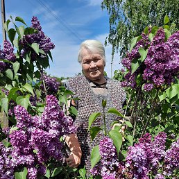 ���� �������, �����, 83 ���� - ��������� 26 ������ 2025