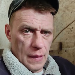 ����, �����, 42 ����