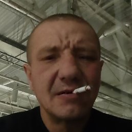 ��������, ����������, 40 ���