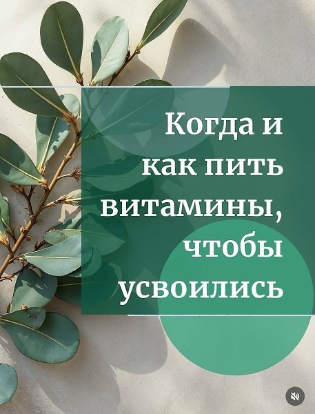 Прием витаминов в правильное время суток важен для максимальной эффективности и усвоения. Разные ...