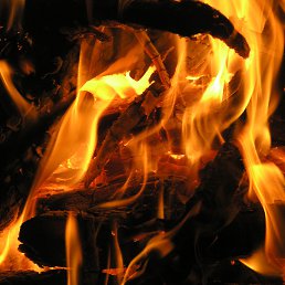 ���� Sever, ��������, 61 ��� - ��������� 24 ������ 2024