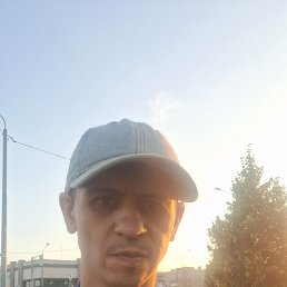 , 33, -