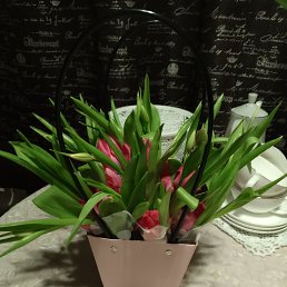 ���� ����, ������, 41 ��� - ��������� 12 ����� 2024