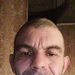 , 41, 
