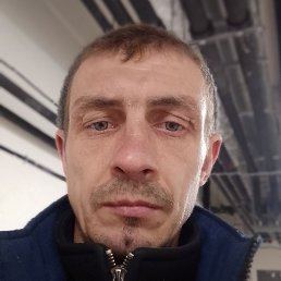 ����� ��������, ������, 41 ���