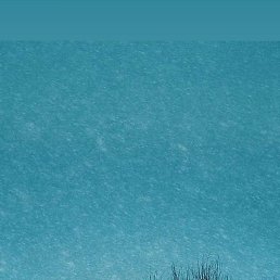 Dilovar, �������, 23 ����