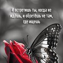 ���� ��������, ������������ - ��������� 15 ������ 2026 � ������ ���� ����������