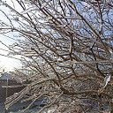 ���� ����, ������-��-����, 48 ��� - ��������� 27 ������ 2024