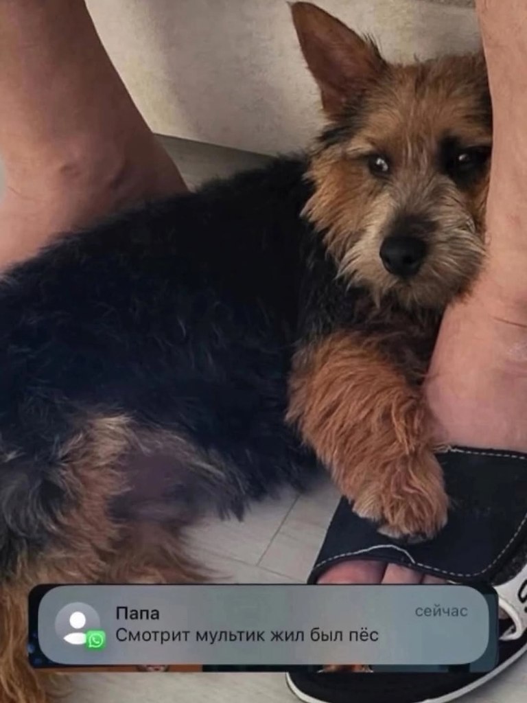 -   !    