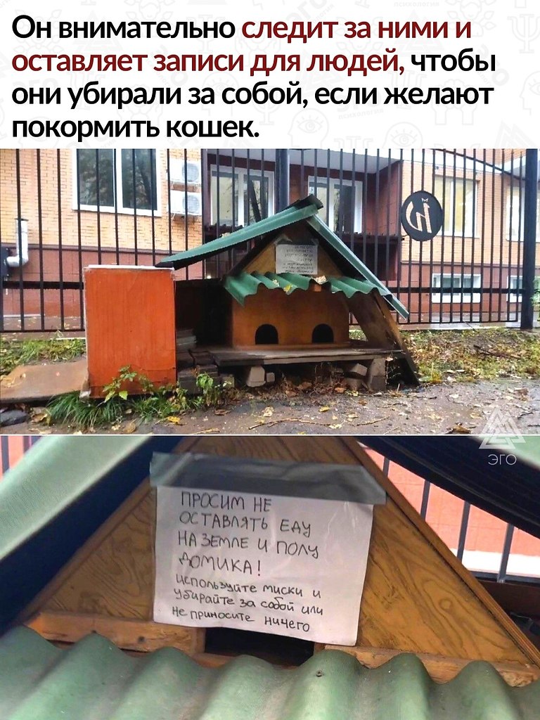  ,   .    ! - 2