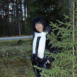 ��������, ����������-���������, 57 ���