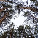 ���� ���������, ������������ - ��������� 15 ������ 2025 � ������ ���� ����������