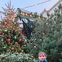 ���� �������, ������, 37 ��� - ��������� 22 ������� 2025 � ������ ���� ����������