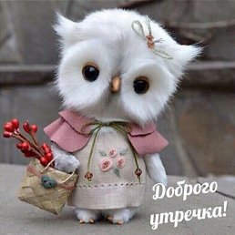 ���� �������, �����-���������, 50 ��� - ��������� 14 ������ 2025