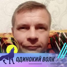 , 45, 